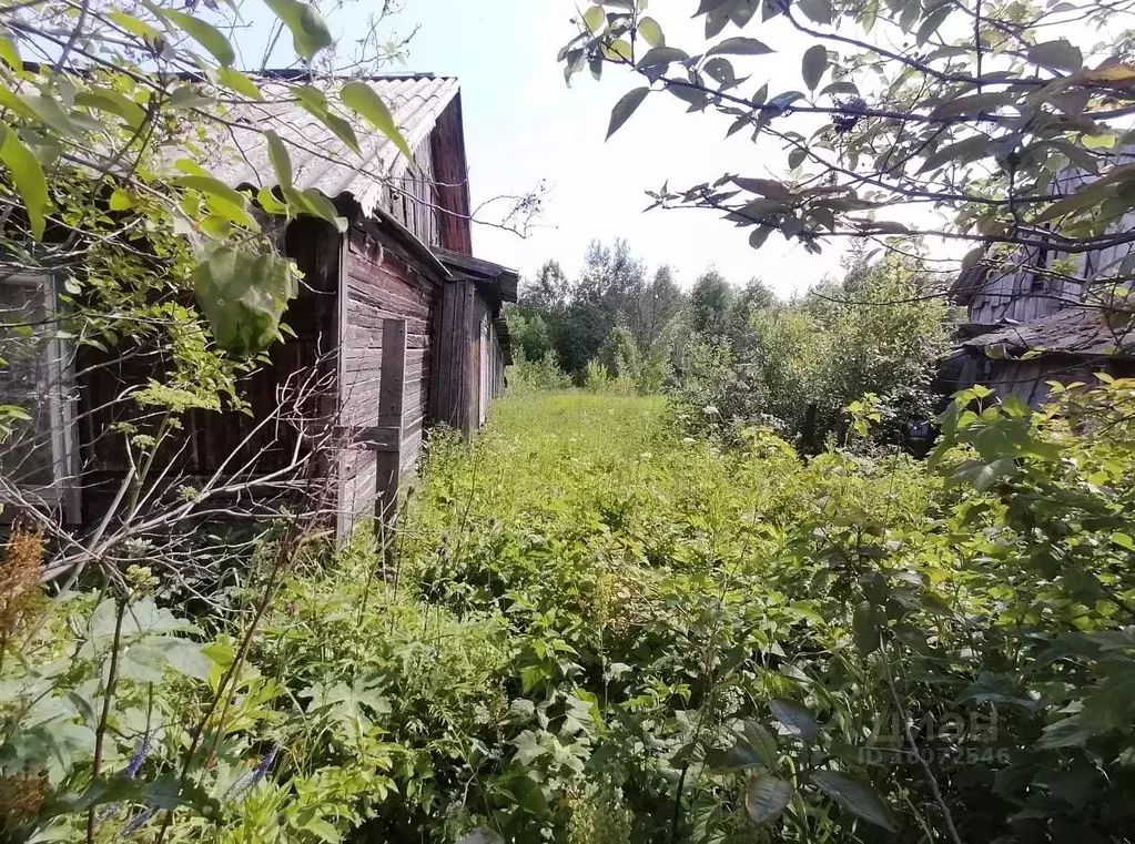 Участок в Пермский край, Усолье Усольский район, ул. Ивачева, 60 (10.0 ... - Фото 1