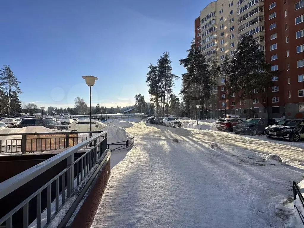 Продажа торговых помещений им Морозова, Всеволожский район, купить  помещения под торговлю им Морозова, Всеволожский район на AFY.ru