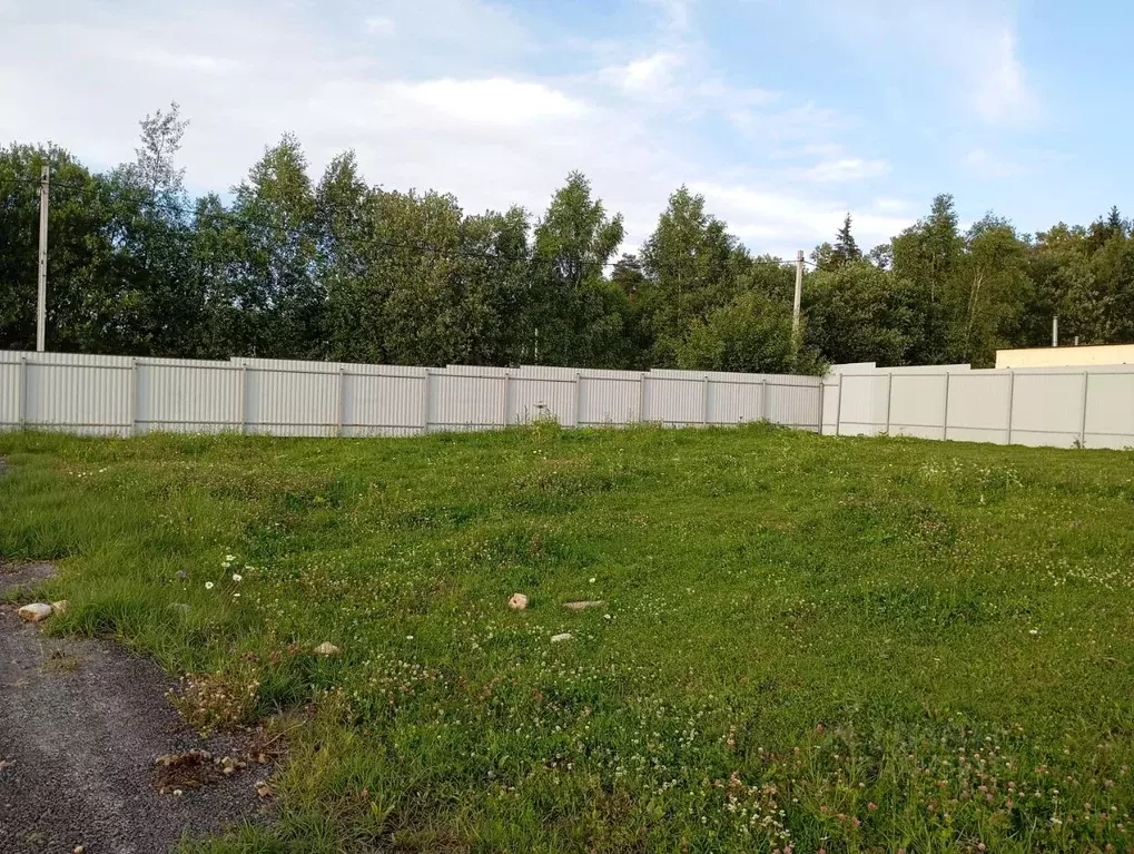 Участок в Московская область, Рузский муниципальный округ, д. Грибцово ... - Фото 1