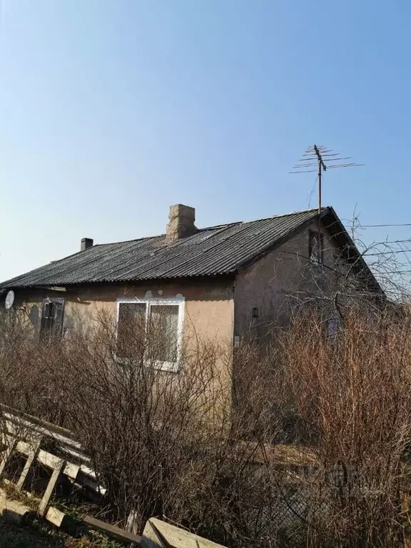 Дом в Калининградская область, Пионерский Западная ул., 11 (80 м) - Фото 1