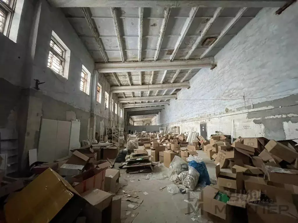 Производственное помещение в Пензенская область, Кузнецкий район, с. ... - Фото 1