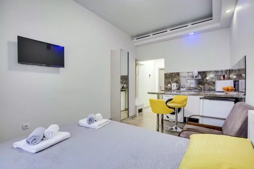 1-к кв. Санкт-Петербург Пушкинская ул., 18 (22.0 м) - Фото 1