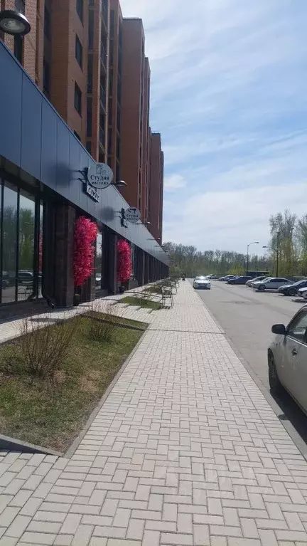 Офис в Новосибирская область, Новосибирск ул. Василия Клевцова, 3 (116 ... - Фото 0