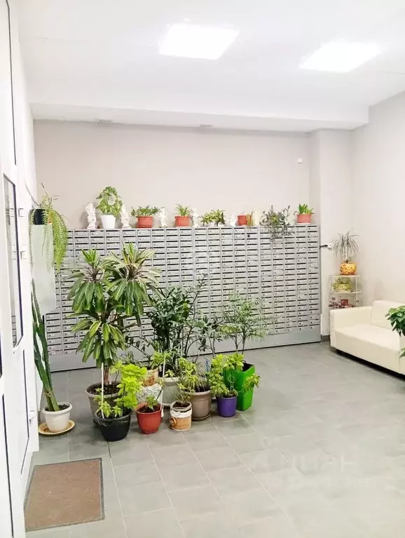 2-к кв. Московская область, Солнечногорск городской округ, Голубое пгт ... - Фото 2