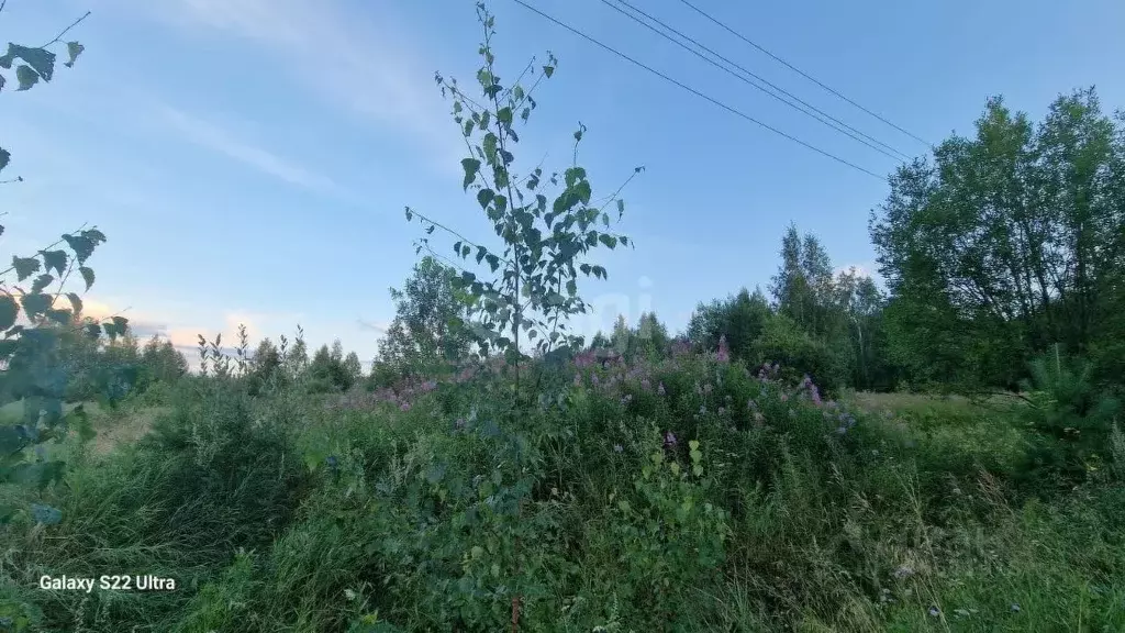 Участок в Свердловская область, Горноуральский городской округ, с. ... - Фото 0