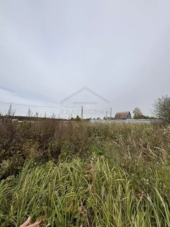 Участок в Калужская область, Дзержинский муниципальный округ, Льва ... - Фото 2