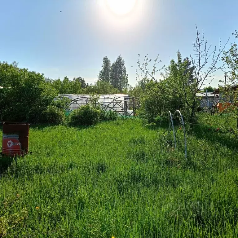 Участок в Нижегородская область, Дзержинск Автомобилист СТ, 52 (6.2 ... - Фото 2