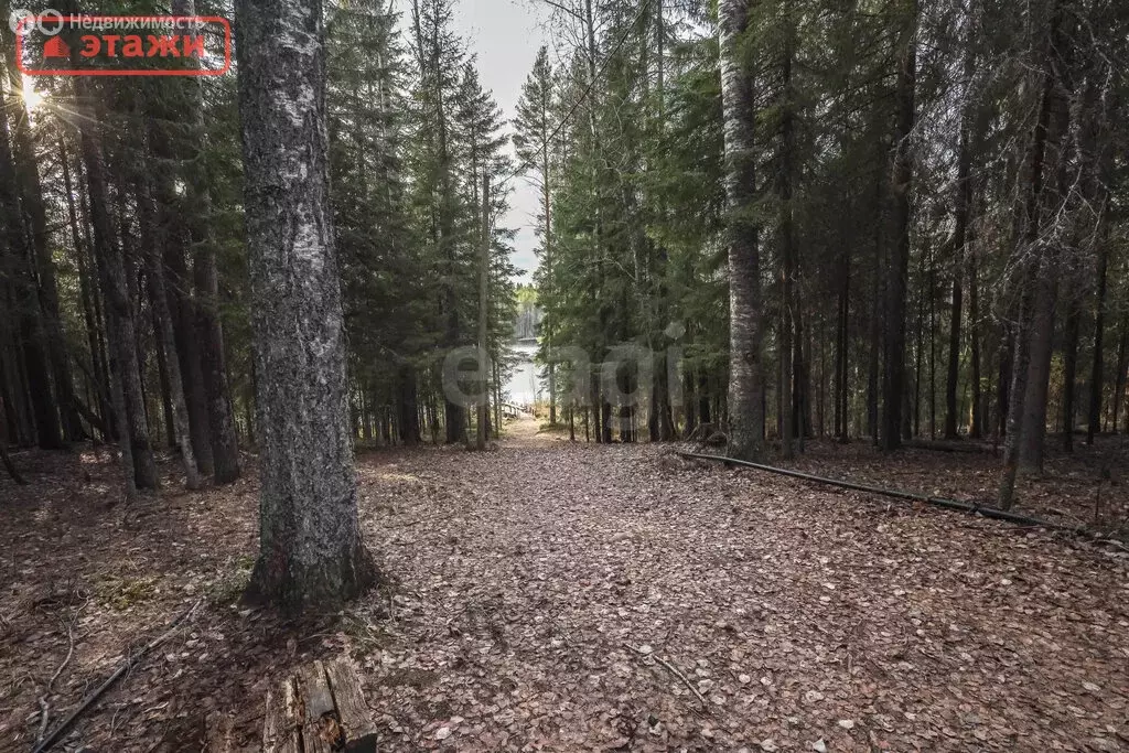 Дом в Республика Карелия, Прионежский муниципальный район, Деревянское ... - Фото 1