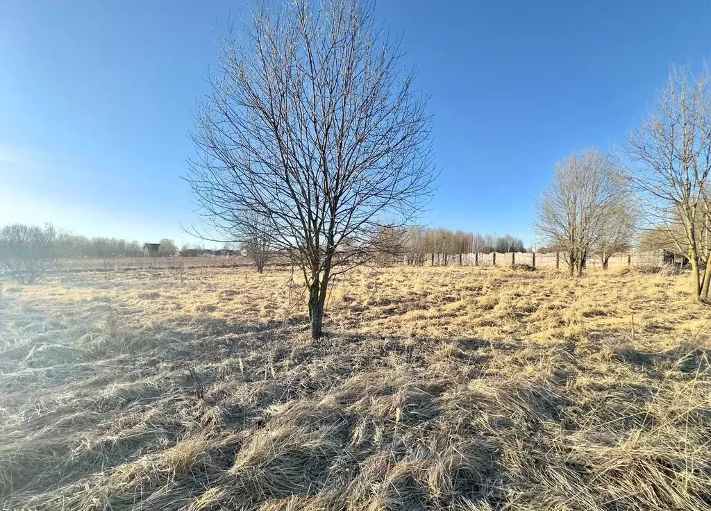 Участок в Тверская область, Конаковский муниципальный округ, д. ... - Фото 2