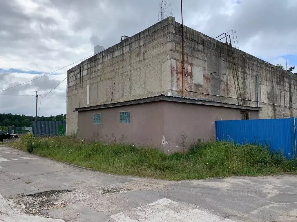 Производственное помещение в Калининградская область, Светлый ул. ... - Фото 1
