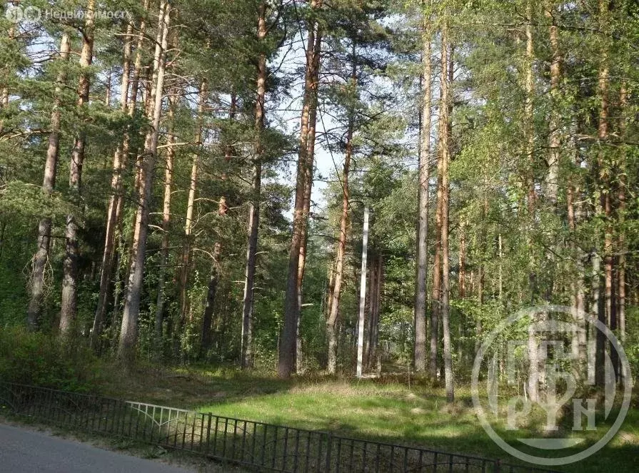 Участок в Солнечное, Петровская улица (43 м) - Фото 2