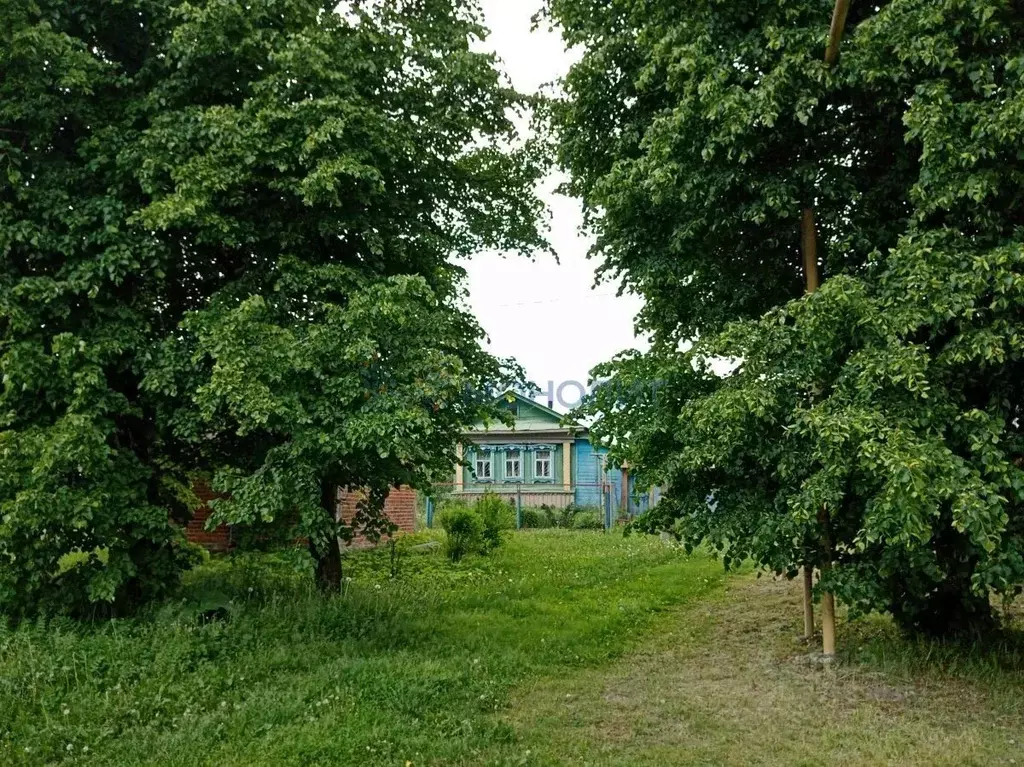 Дом в Нижегородская область, Богородский муниципальный округ, с. Лакша ... - Фото 0
