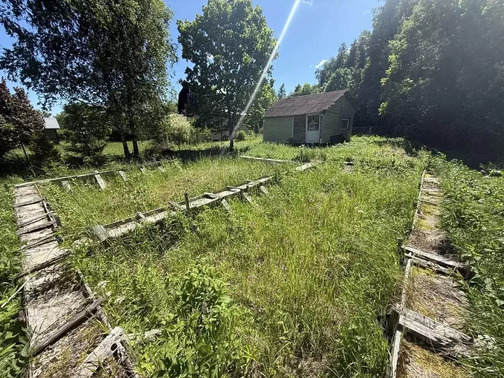 Участок в Москва Полесье-2 садовое товарищество, 108 (6.0 сот.) - Фото 2