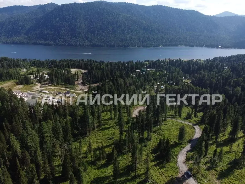 Участок в Алтай, Турочакский район, с. Артыбаш пер. Радужный (26.36 ... - Фото 1