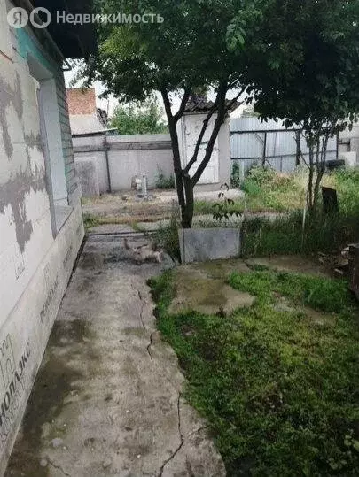 2-комнатная квартира: село Федосеевка, Садовая улица, 11 (53 м) - Фото 0