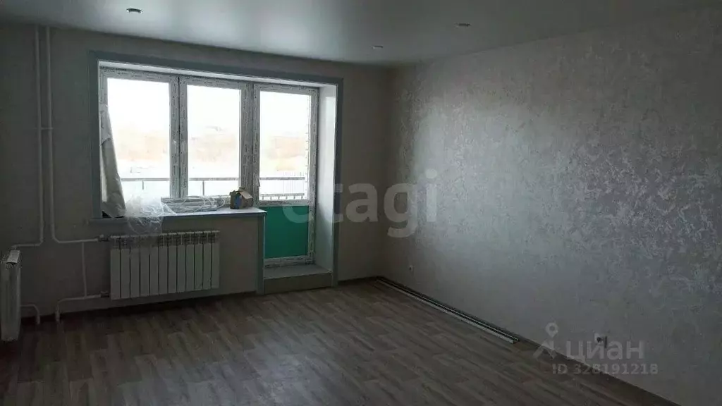 Студия Амурская область, Благовещенский район, с. Чигири Восточная ... - Фото 1