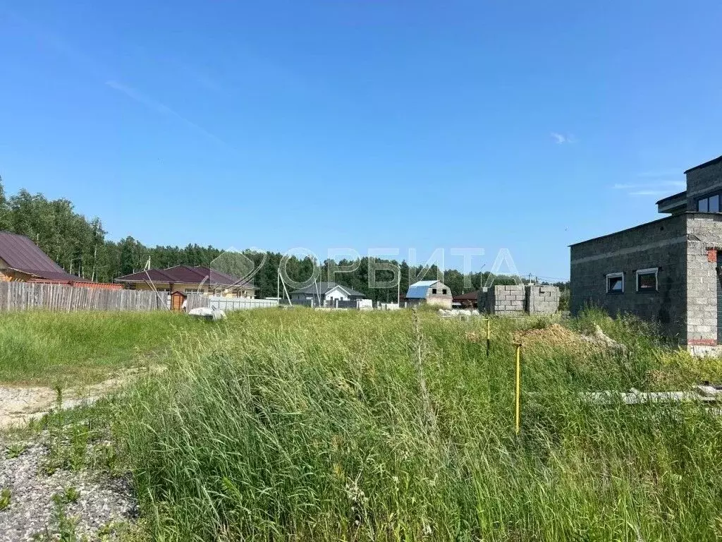 Участок в Тюменская область, Тюменский муниципальный округ, д. ... - Фото 2