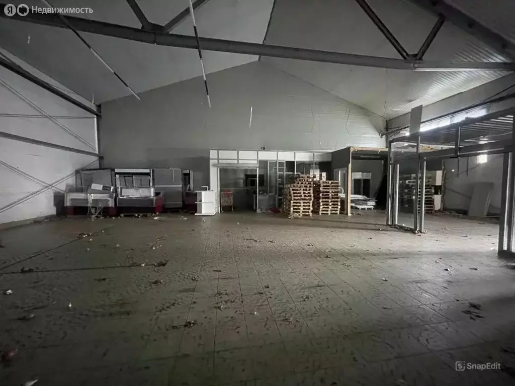 Помещение свободного назначения (250 м) - Фото 2