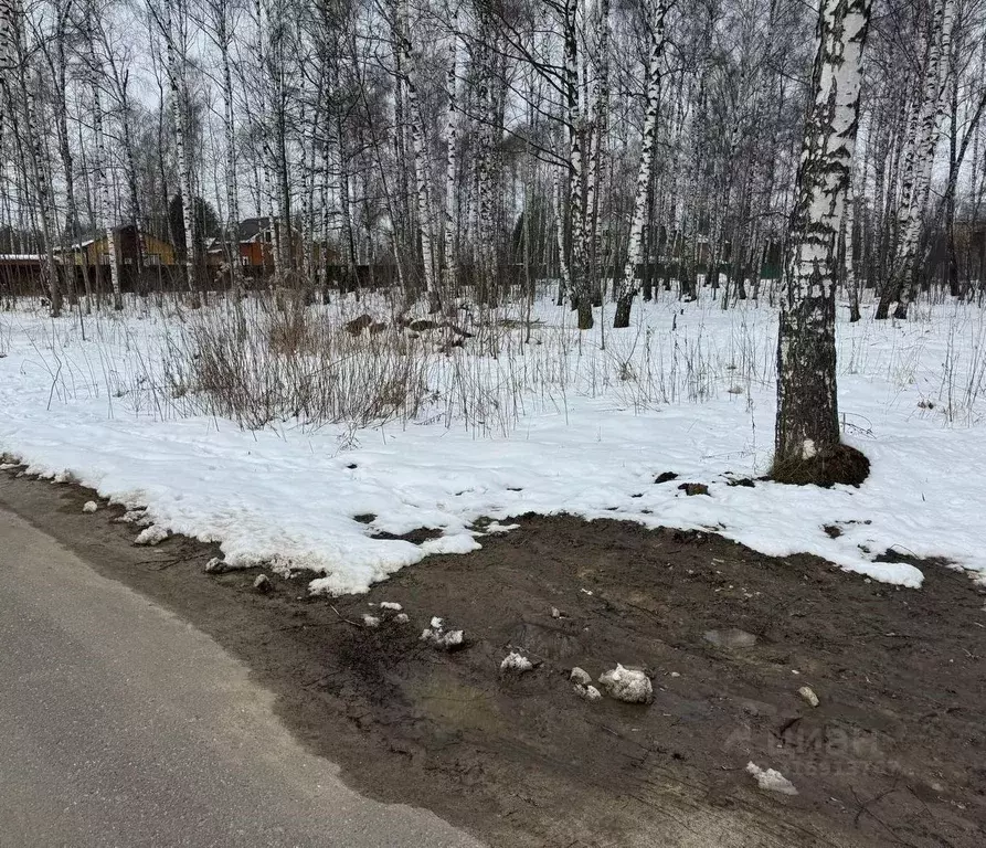 Участок в Московская область, Богородский городской округ, имени ... - Фото 0