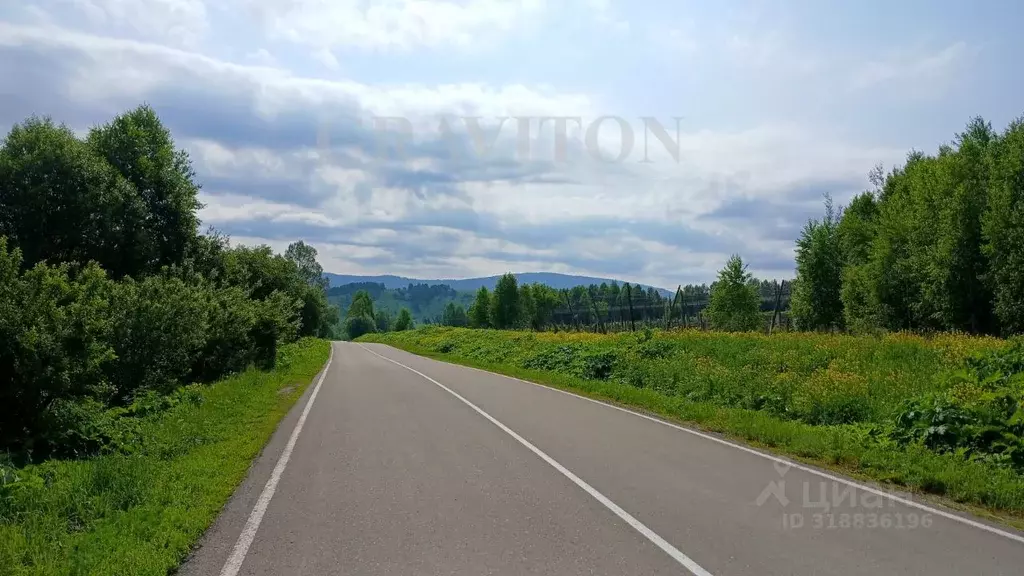 Участок в Алтай, Майминский район, с. Верх-Карагуж  (21.77 сот.) - Фото 2