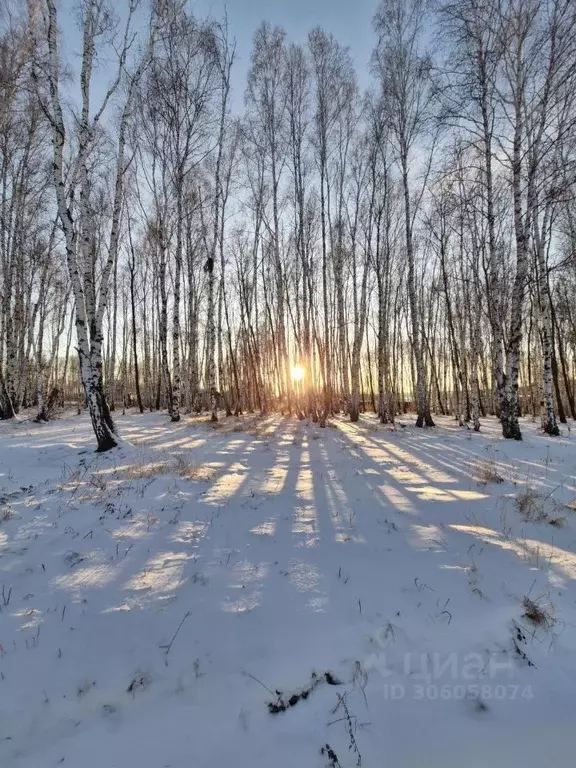 Участок в Иркутская область, Иркутский район, Молодежное муниципальное ... - Фото 0