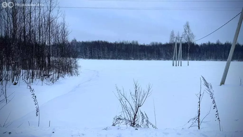 Участок в Новгородская область, Маловишерское городское поселение, ... - Фото 1