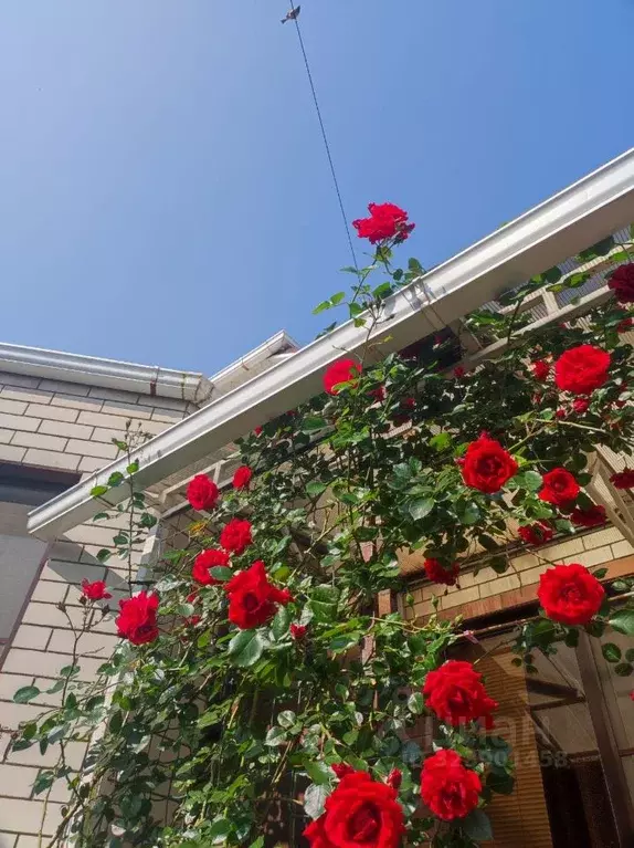 Дом в Ставропольский край, Михайловск Шпаковский район, Воздвиженская ... - Фото 2