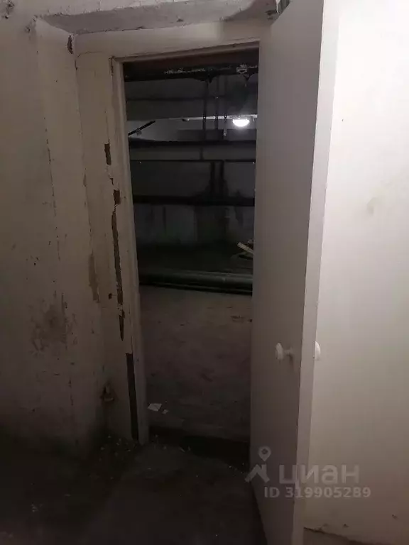 Помещение свободного назначения в Челябинская область, Озерск просп. ... - Фото 1