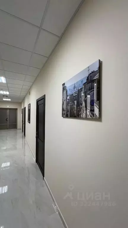 Офис в Краснодарский край, Сочи Пластунская ул., 47А (24 м) - Фото 1