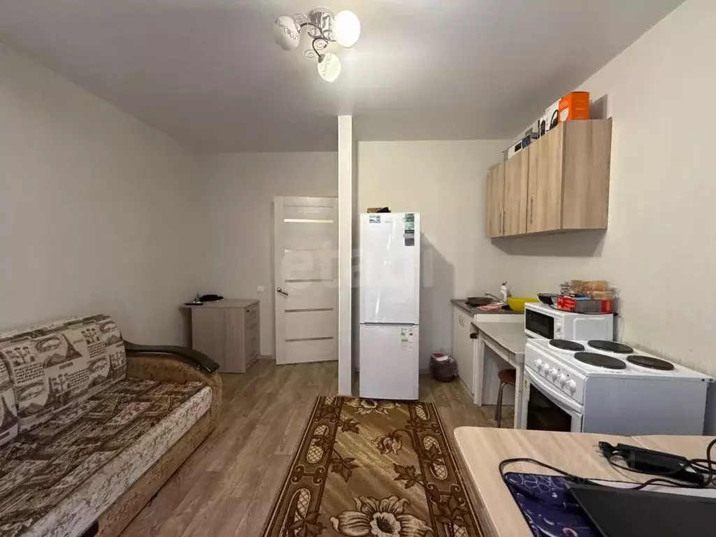 Студия Татарстан, Пестречинский район, Шигалеевское с/пос, с. Новое ... - Фото 1