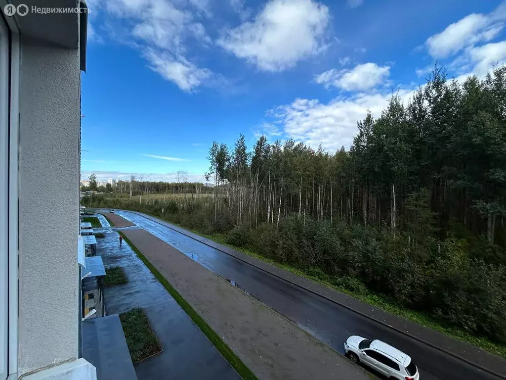 Квартира-студия: Санкт-Петербург, Пейзажная улица, 24к1 (20.3 м) - Фото 0