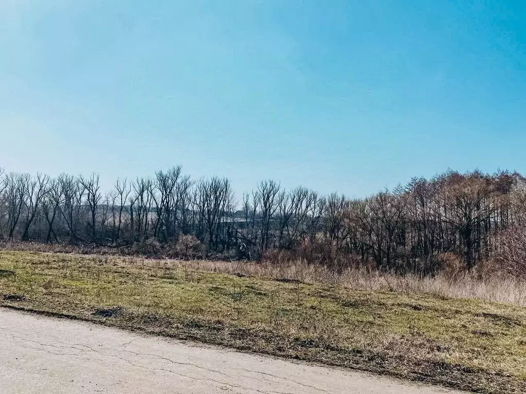 Дом в Белгородская область, Губкинский городской округ, с. ... - Фото 2