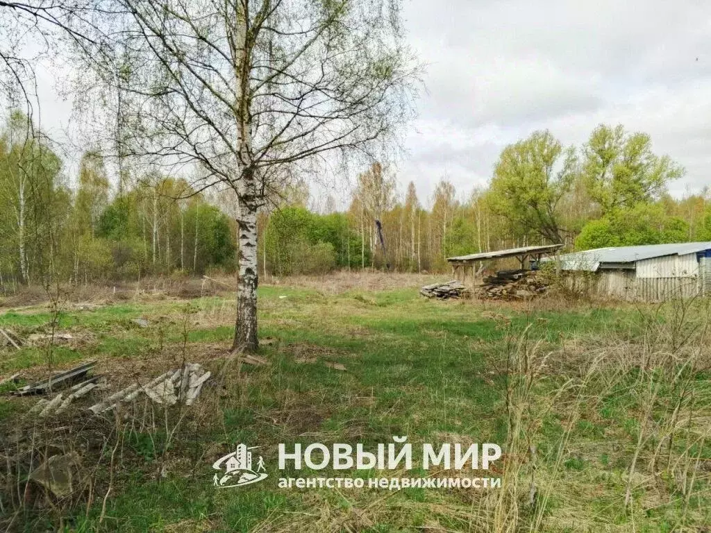 Участок в Нижегородская область, Бор муниципальный округ, д. Ильинское ... - Фото 1