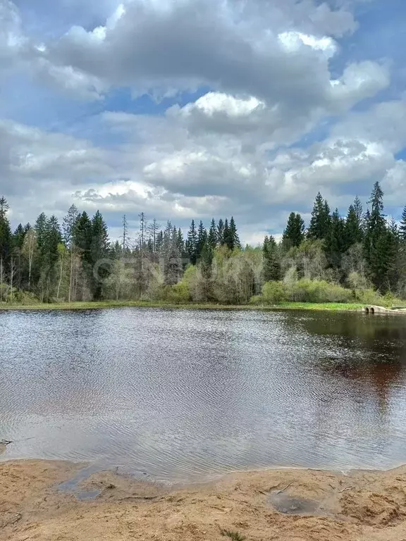 Участок 13,3 сот. (личное подсобное хозяйство (лпх)) - Фото 0