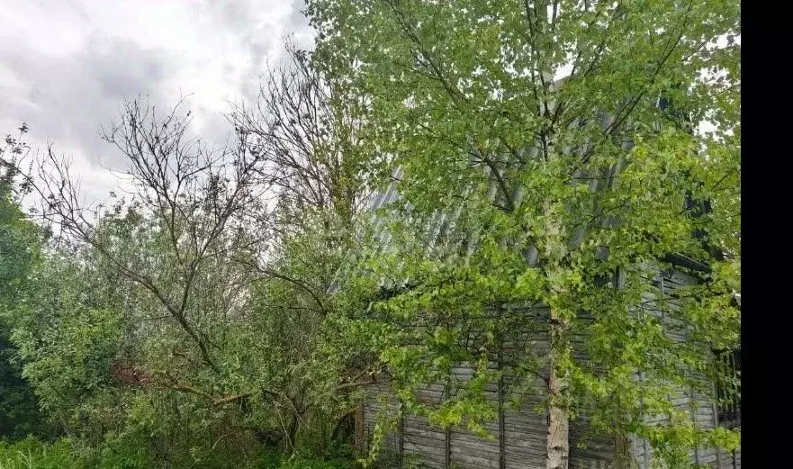 Участок в Калужская область, Обнинск Кварц СНТ, 404 (4.0 сот.) - Фото 1