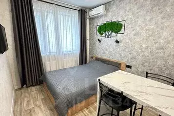 1-к кв. Татарстан, Набережные Челны ул. Вазила Мавликова, 3А (22.0 м) - Фото 1