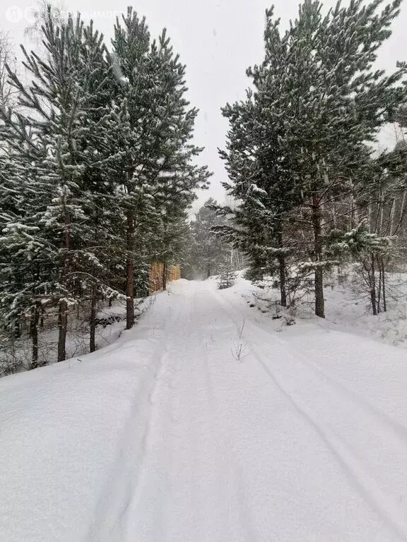 Участок в Прибайкальский район, садоводческое товарищество Якорь (15 ... - Фото 2