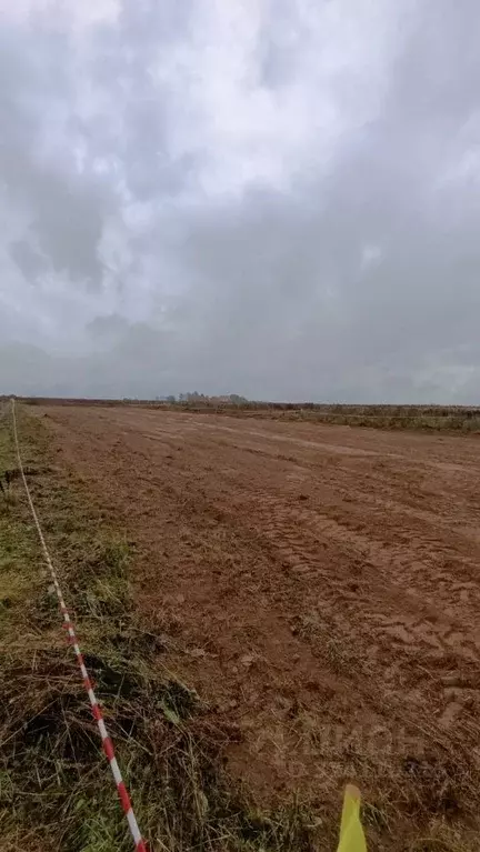 Участок в Москва пос. Рогово,  (6.0 сот.) - Фото 2