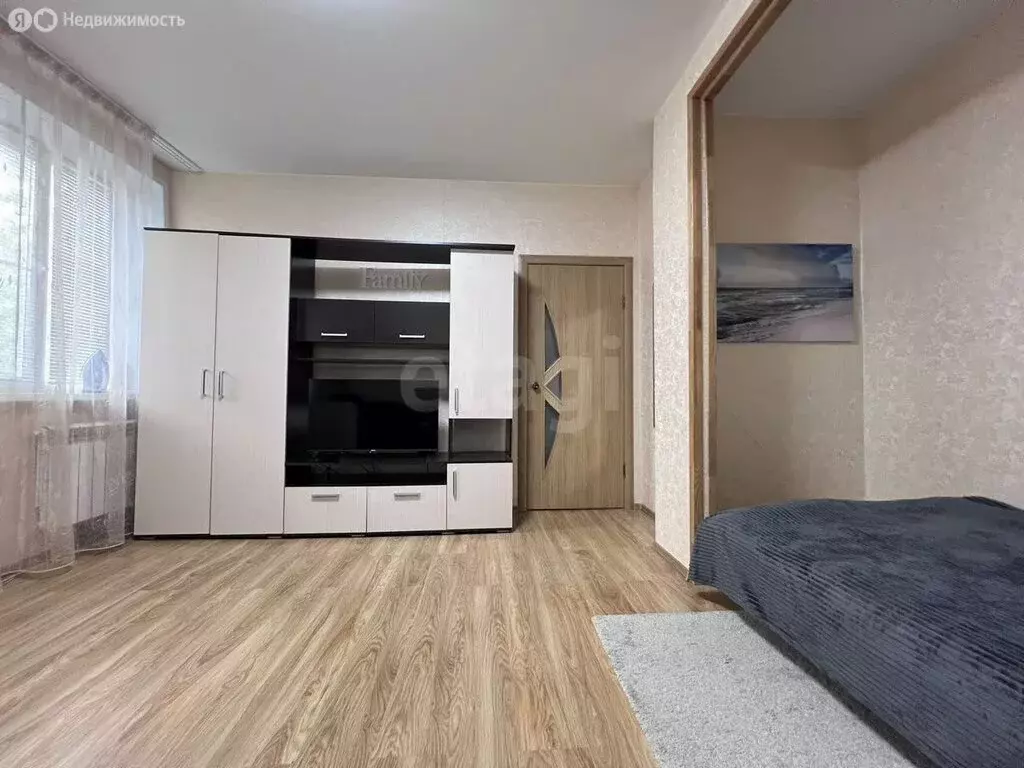 1-комнатная квартира: Нижний Новгород, улица Шорина, 16А (30.5 м) - Фото 1