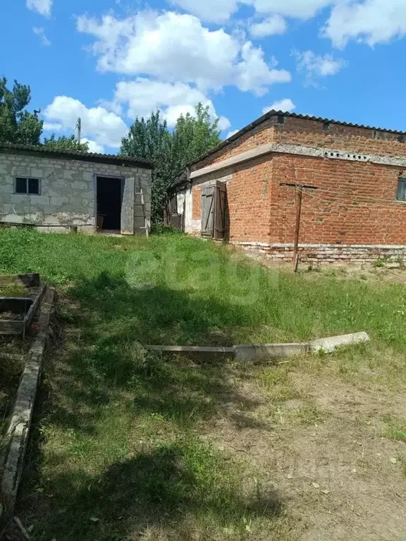 Дом в Белгородская область, Вейделевка рп ул. Октябрьская, 36Б (65 м) - Фото 1