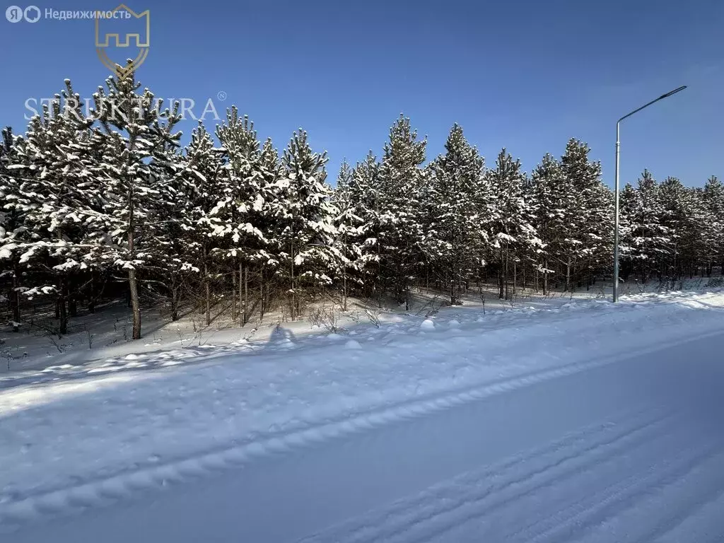 Участок в Свердловская область, Белоярский муниципальный округ, ... - Фото 1