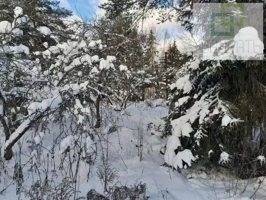 Участок в Ленинградская область, Лужский район, Мшинское с/пос, ... - Фото 2