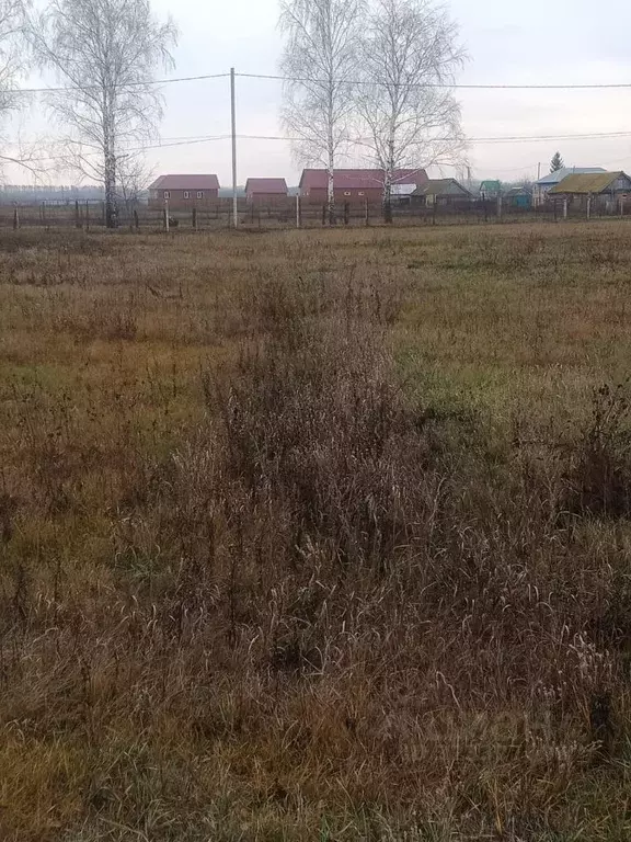 Участок в Башкортостан, Чекмагушевский район, Башировский сельсовет, ... - Фото 1