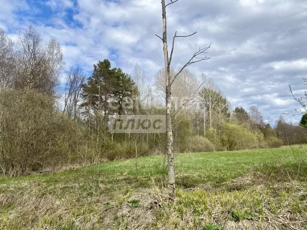 Участок в Карелия, Прионежский район, Заозерское с/пос, д. Ялгуба  ... - Фото 2
