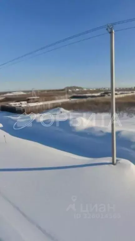 Участок в Тюменская область, Тюменский муниципальный округ, д. Большие ... - Фото 2