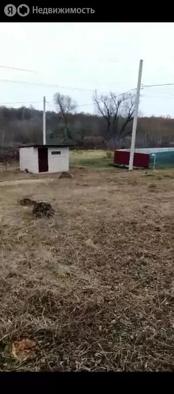 Участок в Орловский муниципальный округ, СНТ Нива (10.1 м) - Фото 1