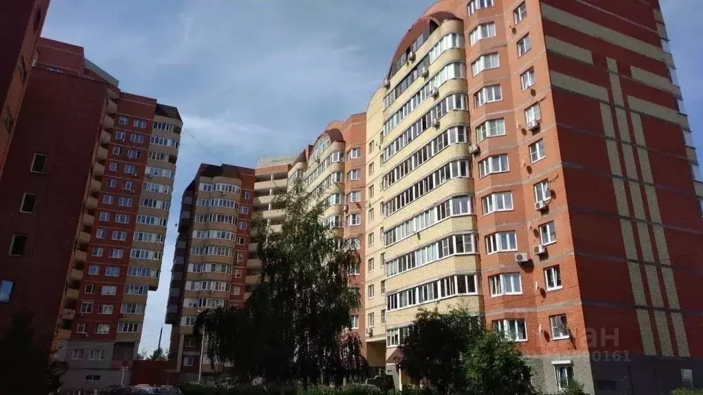 1-к кв. Московская область, Ногинск Богородский городской округ, ул. ... - Фото 2