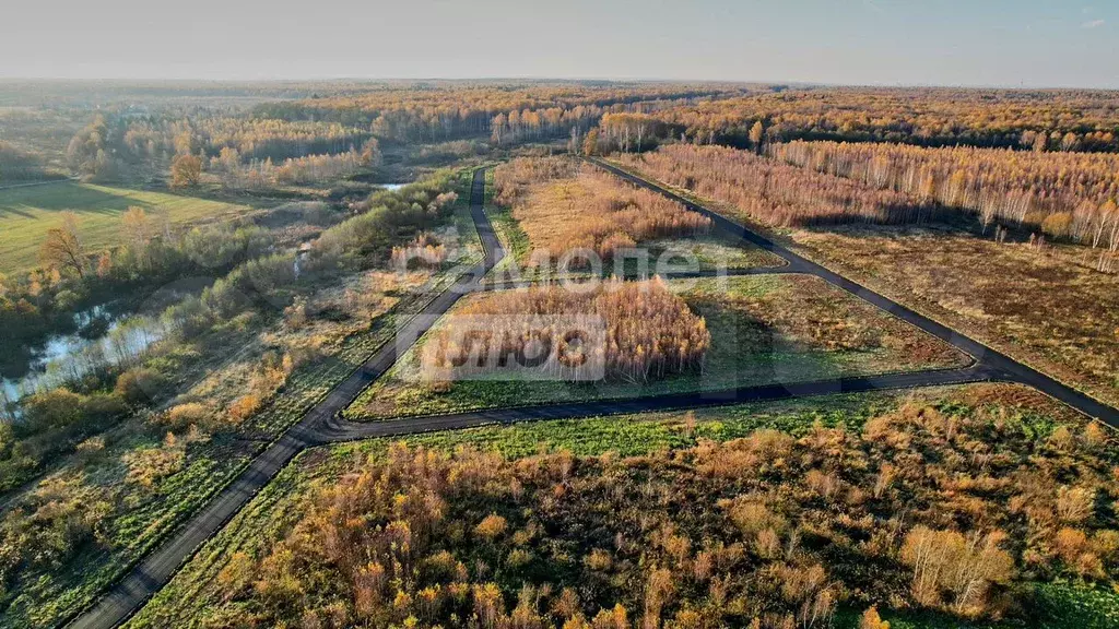 Участок 6,5 сот. (СНТ, ДНП) - Фото 1
