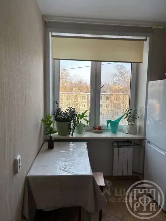 1-к кв. Санкт-Петербург Новочеркасский просп., 36к1 (31.9 м) - Фото 2