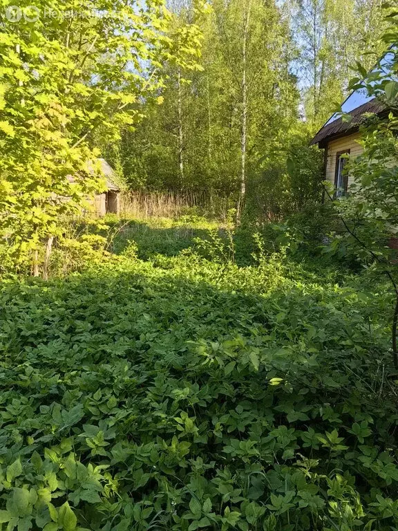 Участок в Выборгский район, Полянское сельское поселение, посёлок ... - Фото 1
